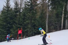 Bezirksschirennen