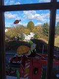 IMG_20251024_100414