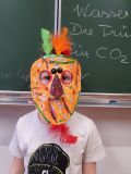 IMG-20260213-WA0011