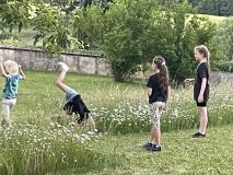 2026_05_29_IMG_2883