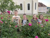 2026_05_29_IMG_2888