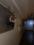 IMG-20260529-WA0006
