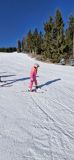 IMG-20260128-WA0017