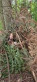 IMG-20250919-WA0019