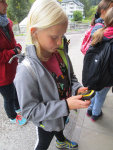 IMG_5237.JPG
