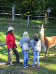 IMG_5271.JPG