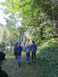 IMG_5280.JPG