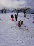 IMG-20211214-WA0013.jpg