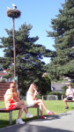 20200708_084720.jpg