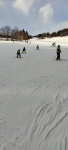 IMG-20230201-WA0089.jpg