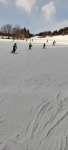 IMG-20230201-WA0153.jpg