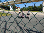 IMG_20250613_091300.jpg