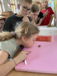 IMG_9096.JPG